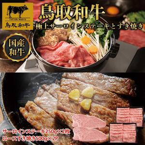 【定期便】鳥取和牛 極上サーロインステーキとすき焼き定期便 12か月  TB8