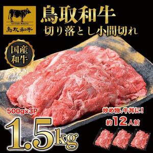【4か月定期便】鳥取和牛切り落とし1.5kg（500g×3P）1227|和牛