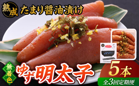 【全3回定期便】熟成 たまり醤油漬け 無着色 ゆず明太子 5本入り(350g)桂川町/有限会社フィッシャーマンズクラブ 明太子 めんたい [ADBO051] 明太子 柚子明太子 ゆずめんたいこ 柚子めんたい 定期便