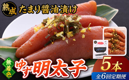 【全6回定期便】熟成 たまり醤油漬け 無着色 ゆず明太子 5本入り(350g)桂川町/有限会社フィッシャーマンズクラブ 明太子 めんたい [ADBO052] 明太子 柚子明太子 ゆずめんたいこ 柚子めんたい 定期便