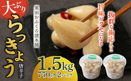【2026年7月中旬以降順次発送】らっきょう 1.5kg（唐辛子） [ABDO003]らっきょう 
