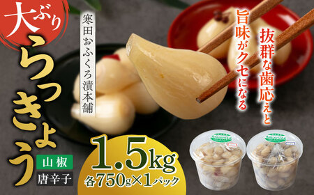 【2026年7月中旬以降順次発送】らっきょう 1.5kg（唐辛子750g・山椒750g）らっきょ ラッキョウ 辣韭 [ABDO005] 