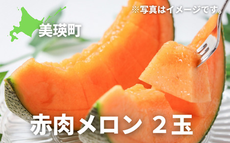 メロン ≪令和8年産予約受付≫ 美景農園 メロン 2玉 赤肉メロン  [020-95]