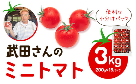 【先行予約】武田さんのミニトマト 3kg  