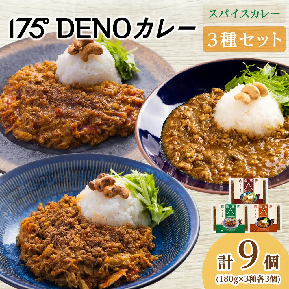 175DENOカレー 3種セット 各3袋 計9袋（無水カレー180g×9）