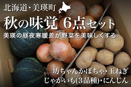 野菜セット 秋の味覚6点 旬の野菜 詰め合わせ ≪令和８年産予約受付！≫   [017-67]