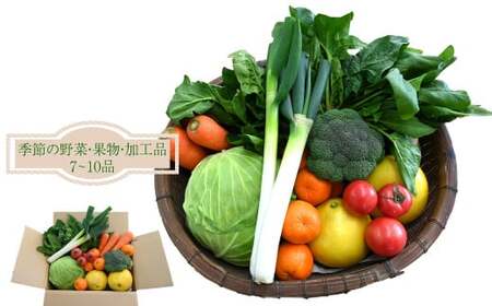 【ふるさと納税】＜はちきんの店 野菜 セット 7～10品＞ 野菜詰め合わせ 詰合せ 高知の野菜 旬の野菜【冷蔵】高知県 佐川町