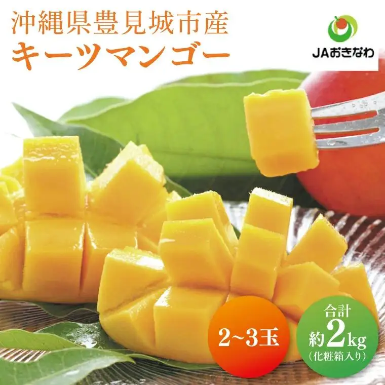 菜々色畑のキーツマンゴー 2～3玉(約2kg)【化粧箱】