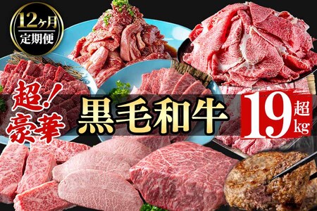【定期便全12回】超豪華！黒毛和牛堪能贅沢定期便！(総重量19kg超) 鹿児島県産 黒毛和牛 和牛 肉 牛肉 国産 九州産 鹿児島県産 焼肉 BBQ 日本一 ランキング 人気 A4 A5 ステーキ 切り落とし ハンバーグ カルビ ミスジ 訳あり t0365-001