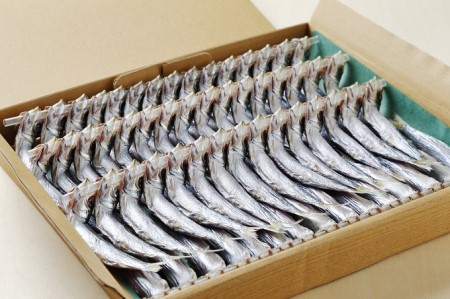 ウルメ丸干し 14～15尾 5～6竿 鰯 いわし おつまみ 珍味 魚 海鮮 グルメ ギフト 酒 ビール 日本酒 焼酎 贈り物 国産 愛媛 愛南町