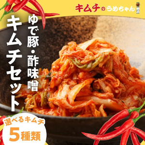 キムチ 5種類・ゆで豚・酢味噌 【キムチのうめちゃん】 手作り 16-006