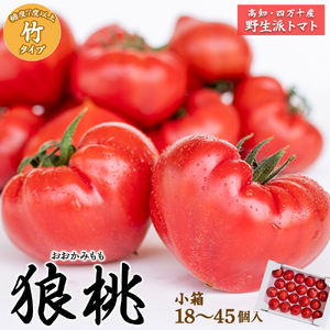【先行予約／2027年2月下旬から発送】四万十育ち「狼桃」 糖度7度以上　竹タイプ（18～45個入）小箱 Fdf-A07／フルーツトマト トマト