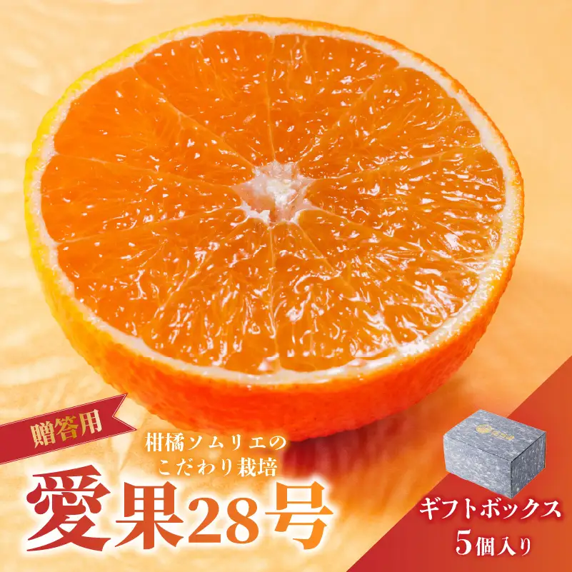 愛果28号 (紅まどんな と同品種) ギフトボックス Lから2Lサイズ 5玉 贈答用 A品 秀品 【2026年11月下旬より順次発送】 | あいか 紅まどんな 紅マドンナ と 同品種 愛媛みかん みかん ミカン mikan お取り寄せ 産地直送 数量限定 人気 おすすめ 愛媛県 松山市 蓮果園 【RNK0141】