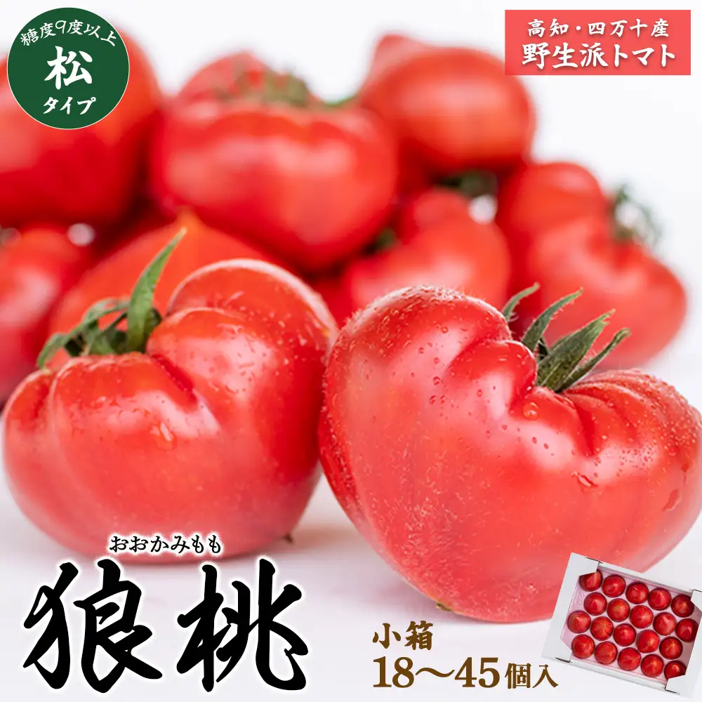 【先行予約／2027年3月中旬から発送】四万十育ち「狼桃」 糖度9度以上 松タイプ 小箱（18～45個入） Fdf-A09 フルーツトマト トマト