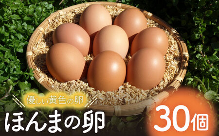 平飼いニワトリの有精卵！ほんまの卵 30個（10個×3パック） / 佐賀県 / 本間農園 [41AJAA002]