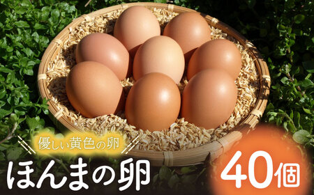 平飼いニワトリの有精卵！ほんまの卵 40個（10個×4パック） / 佐賀県 / 本間農園 [41AJAA003]