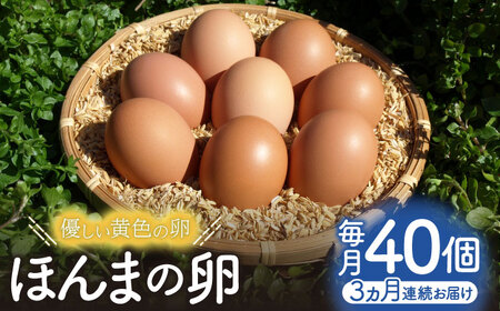 【全3回定期便】平飼いニワトリの有精卵！ほんまの卵定期便 計120個（40個×3回） / 佐賀県 / 本間農園 [41AJAA021]