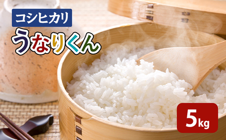 米 【令和7年度産】「コシヒカリ」うなりくん5kg こしひかり コシヒカリ お米 精米 白米 成田市 千葉県