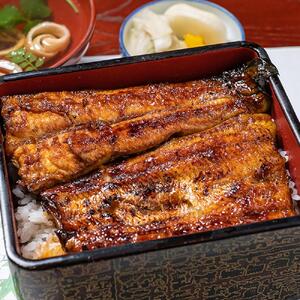 静岡産うなぎ蒲焼真空パック 約120g×3枚