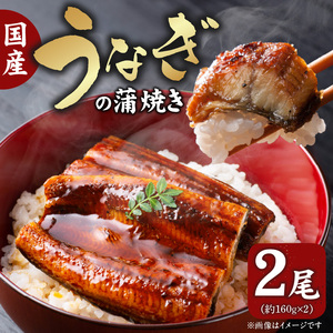 国産うなぎの蒲焼き 2尾 _T08006