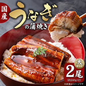 国産うなぎの蒲焼き 大サイズ×2尾 _T08106