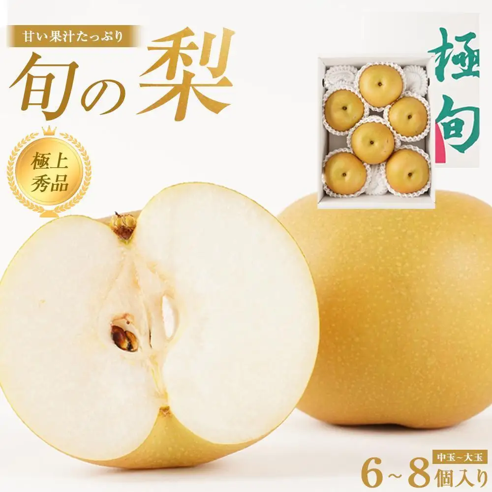 〈先行予約〉梨 秀品 （中玉～大玉）6～8個入り 梨