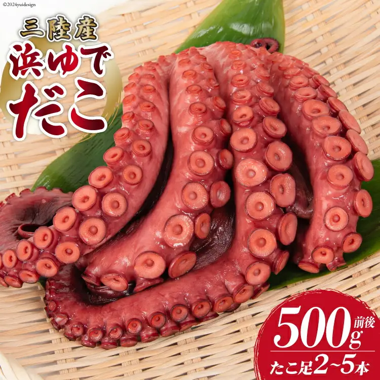 タコ 三陸産 浜ゆでだこ 約500g (足2～5本入) [村東商店 宮城県 気仙沼市 20564846]