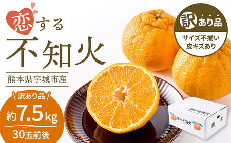 訳あり 不知火 恋する不知火 約7.5kg 【2026年4月上旬から2026年7月中旬発送予定】 御舩果樹園 