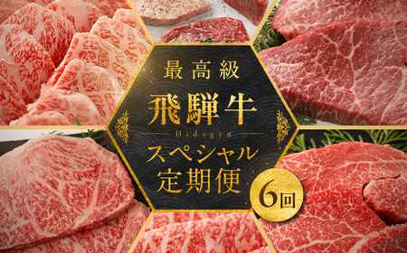 【定期便 6回】飛騨牛食べ尽くし定期便 6カ月（飛騨牛すき焼き 焼肉 ステーキ ）【冷凍】【22-B】
