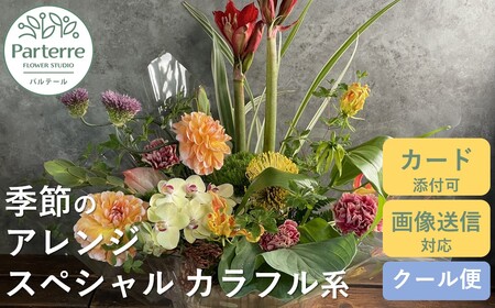 季節のフラワーアレンジメント スペシャル  【 カラフル 系】 岩手県 北上市 G0067-CF  （ パルテール )  花 観賞用 アレンジ プレゼント ギフト 誕生日 お祝い クリスマス 卒業 入学 バレンタインデー ホワイトデー 贈答 母の日 父の日 敬老の日 感謝 退院 快気祝い プロポーズ ご褒美 生花 季節の花 赤 白 黄色 ピンク オレンジ 青 紫 寄せ植え 鉢植え ガーデニング 庭 玄関 リビング 部屋 客間 オフィス 開店祝い 周年祝い 退職祝い 就職祝い 還暦 成人 記念日 花 