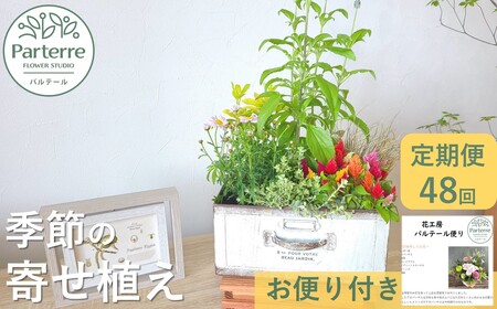 【定期便 / 毎月4回 計48回 お届け】季節の寄せ植え 定期便 岩手県 北上市 W0042  （ パルテール )  花 観賞用 アレンジ プレゼント ギフト 誕生日 お祝い クリスマス 卒業 入学 バレンタインデー ホワイトデー 贈答 母の日 父の日 敬老の日 感謝 退院 快気祝い プロポーズ ご褒美 生花 季節の花 赤 白 黄色 ピンク オレンジ 青 紫 寄せ植え 鉢植え ガーデニング 庭 玄関 リビング 部屋 客間 オフィス 開店祝い 周年祝い 退職祝い 就職祝い 還暦 成人 記念日 花 