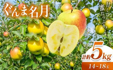 【2026年先行予約】信州産 塩尻エールりんご！農家さん応援♪♪ 果汁たっぷり ぐんま名月 約5kg（14～18玉）【11月上旬以降発送予定】訳あり