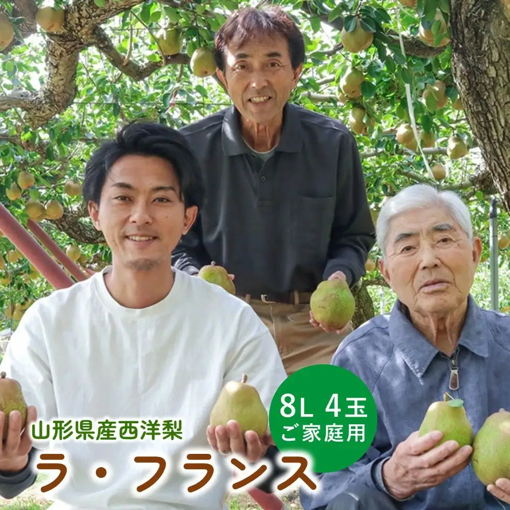 【超大玉８Ｌサイズ！！】ラ・フランス　４玉　ご家庭用　0078-2608