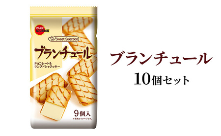 ブランチュール 9個入り×10個 ブルボン チョコレート ラングドシャ クッキー お菓子 焼き菓子 おやつ 新潟県 上越市