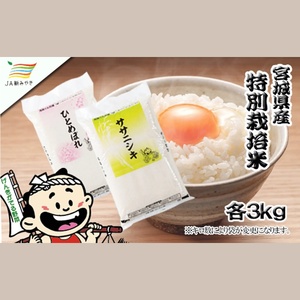 元気くん市場  宮城の美味しいお米食べ比べセット（Ａ）【mygs007】