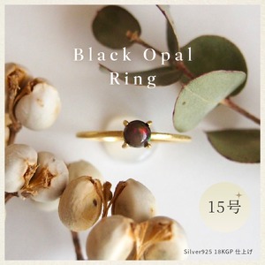 15号 天然石 ブラックオパール リング (Silver925 18KGP仕上げ) ／ Maco アクセサリー シルバー ヘアライン加工 プレゼント 奈良県 田原本町