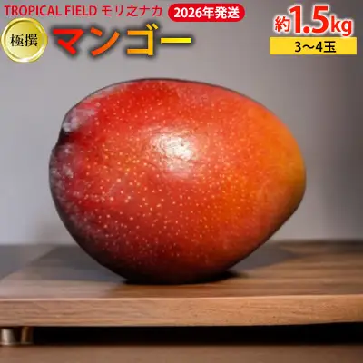 2026年発送【TROPICAL FIELD モリ之ナカ】極撰マンゴー　約1.5kg（3～4玉） フルーツ 果物 期間限定 数量限定 先行予約 南国 プレゼント お土産 おみやげ ギフト くだもの 沖縄 おきなわ 青果 デザート おすすめ 人気 冷蔵 夏 スイーツ