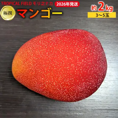2026年発送【TROPICAL FIELD モリ之ナカ】極撰マンゴー約2kg（3～5玉） フルーツ 果物 期間限定 数量限定 先行予約 南国 プレゼント お土産 おみやげ ギフト くだもの 沖縄 おきなわ 青果 デザート おすすめ 人気 冷蔵 夏 スイーツ