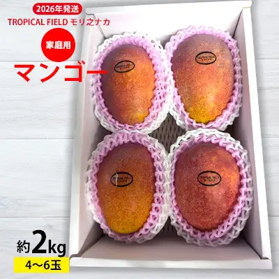 2026年発送【TROPICAL FIELD モリ之ナカ】家庭用マンゴー約2kg（4～6玉） フルーツ 果物 期間限定 数量限定 先行予約 南国 プレゼント お土産 おみやげ ギフト くだもの 沖縄 おきなわ 青果 デザート おすすめ 人気 冷蔵 夏 スイーツ