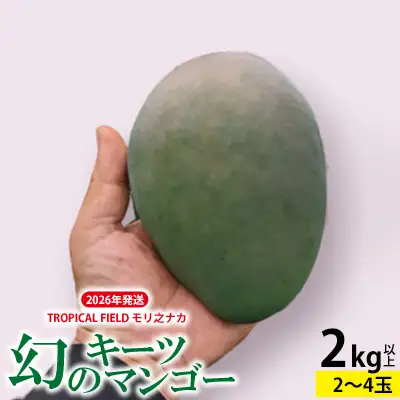 2026年発送【TROPICAL FIELD モリ之ナカ】幻のキーツマンゴー　2kg以上 フルーツ 幻 果物 期間限定 数量限定 先行予約 プレミアム 南国 プレゼント お土産 ギフト くだもの 沖縄 青果 デザート おすすめ 人気 冷蔵 夏 スイーツ
