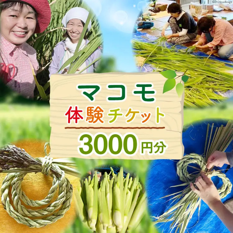 マコモ体験チケット（3,000円分）田植え 収穫 マコモ料理 手仕事体験 [マコモ農園さんさん 山梨県 韮崎市 20742712]