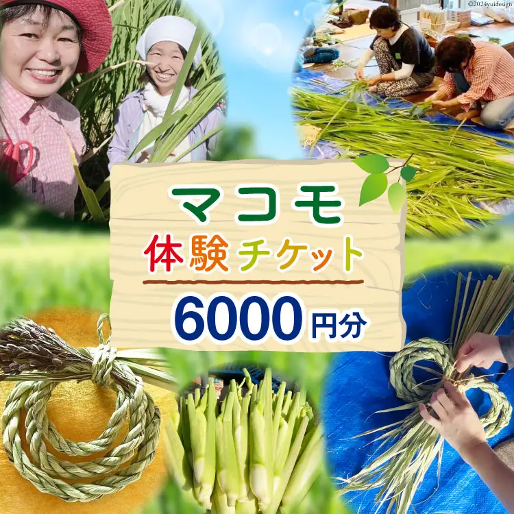マコモ体験チケット（6,000円分）田植え 収穫 マコモ料理 手仕事体験 [マコモ農園さんさん 山梨県 韮崎市 20742713]