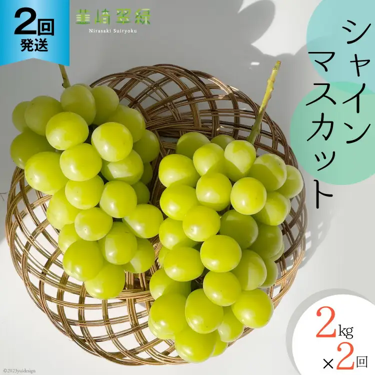【2026年発送 定期便 】【2回発送】シャインマスカット 予約 2kg 相当× 2回 計 4kg シャイン 山梨 やまなし ぶどう ブドウ 葡萄 マスカット 種なし 果物 フルーツ 山梨県産 産地直送 期間限定 季節限定 冷蔵NS-1011 韮崎翠緑セレクト [韮崎翠緑 山梨県 韮崎市 20742828]