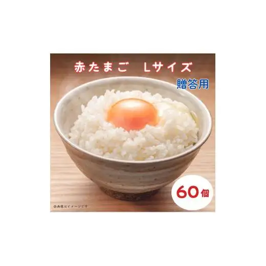 小川エッグの赤たまごLサイズ贈答用 60個 赤たまご たまご 卵 玉子 タマゴ 新鮮 旨み 甘み 贈答用 贈答 ギフト 贈り物 千葉県 匝瑳市
