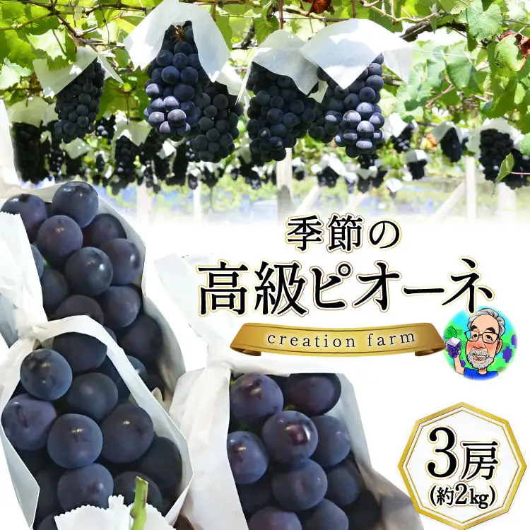 【2026年発送】 ぶどう 先行受付 ピオーネ 2kg [Creation farm 山梨県 韮崎市 20743253]