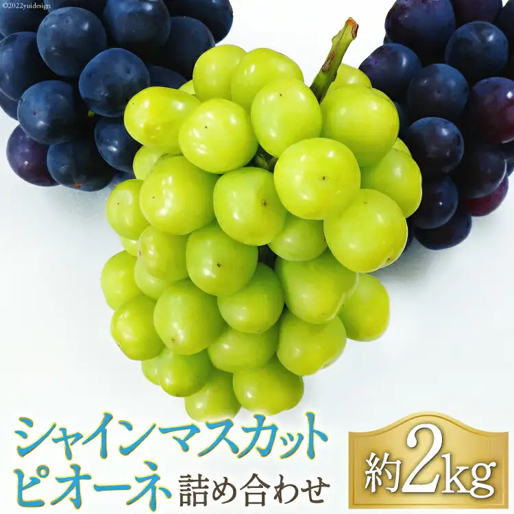 【2026年発送】 ぶどう 先行予約 シャインマスカット & ピオーネ 食べ比べ 約2kg  [フルーツランド平賀 山梨県 韮崎市 20742835]