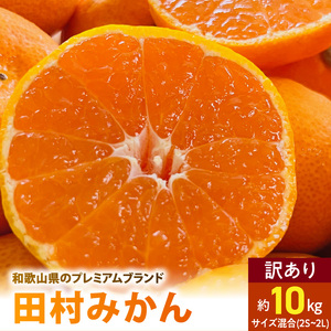 AB7300_ 【2026年先行予約】ご家庭用 田村みかん サイズ混合(2S～２L) 約10kg わけあり 訳あり 不揃い 和歌山プレミアムブランドみかん 小玉 中玉 大玉 蜜柑 ミカン フルーツ 果物