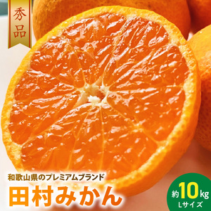 AB7304_ 【2026年先行予約】プレミアムブランド 田村みかん Lサイズ 秀品  約10kg _和歌山県産 蜜柑 ミカン フルーツ 果物 ギフト お歳暮 完熟