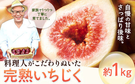 完熟いちじく約1kg 