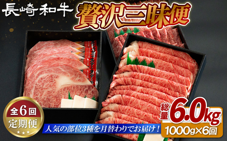 《定期便》長崎和牛月替わりバラエティー【6回お届け】